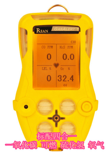 R40多合一气体检测仪(图1)